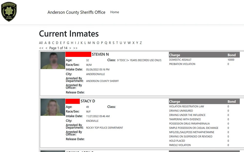 A screenshot from the Anderson County Sherrif's Office website showing the current inmates database, two censored people are displayed with corresponding descriptions.